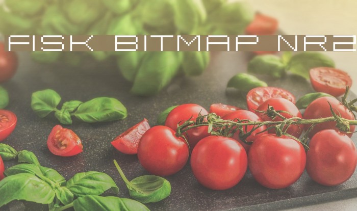 Fisk Bitmap Nr2 Font examples