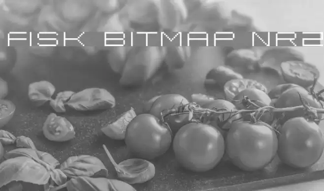 Fisk Bitmap Nr2 Schriftart examples