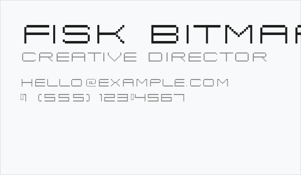 Fisk Bitmap Nr2 Business Card