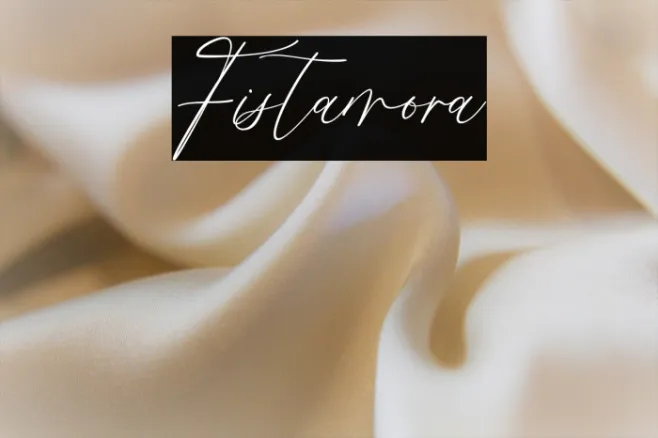 Fistamora Example 1