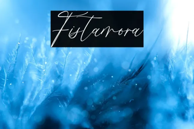 Fistamora Example 2