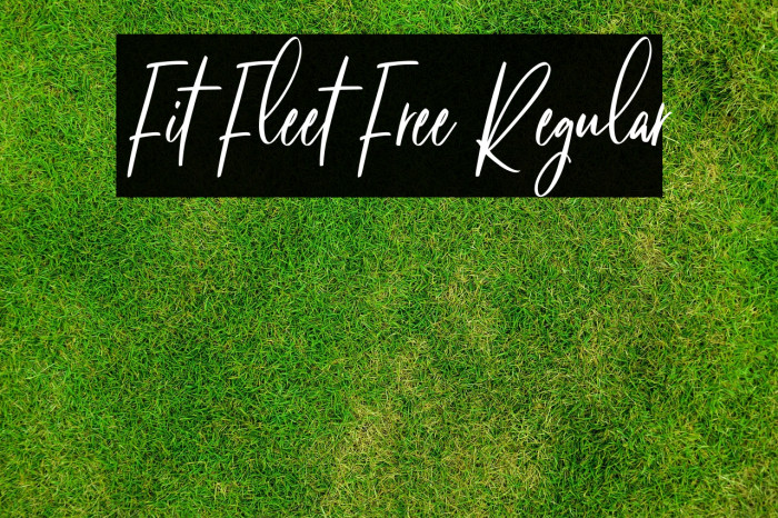 Fit Fleet Free Regular Example 1