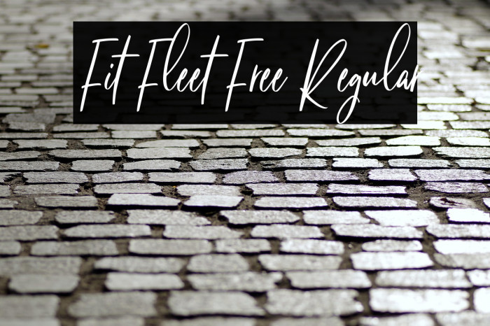 Fit Fleet Free Regular Example 3