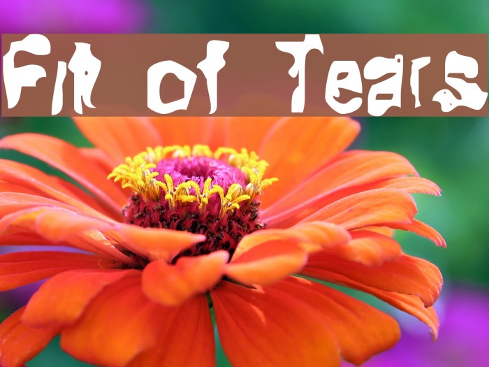 Fit of Tears Font examples