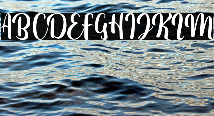 Fitamint Script Example 1