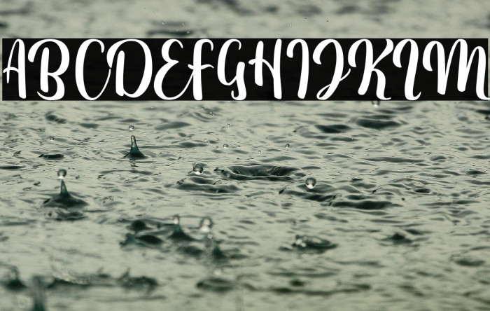 Fitamint Script Example 3