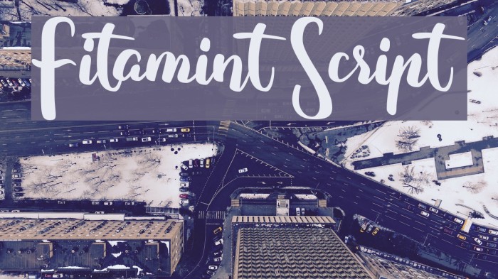 Fitamint Script Font examples