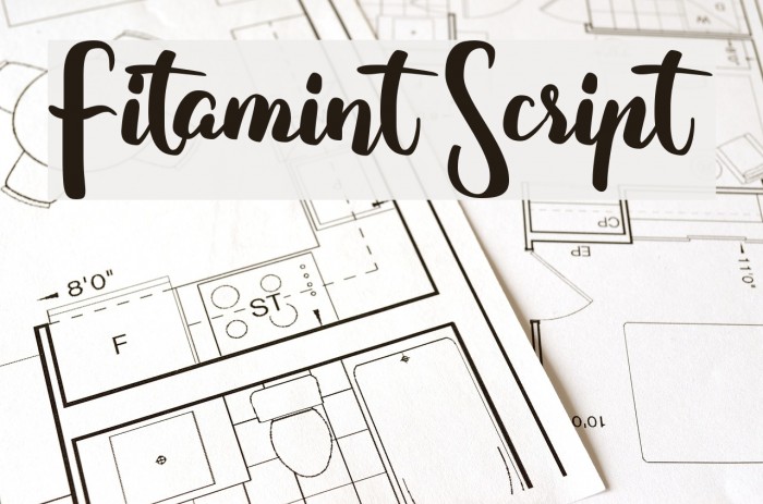 Fitamint Script Font examples