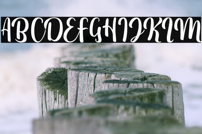 FitamintScript Example 1