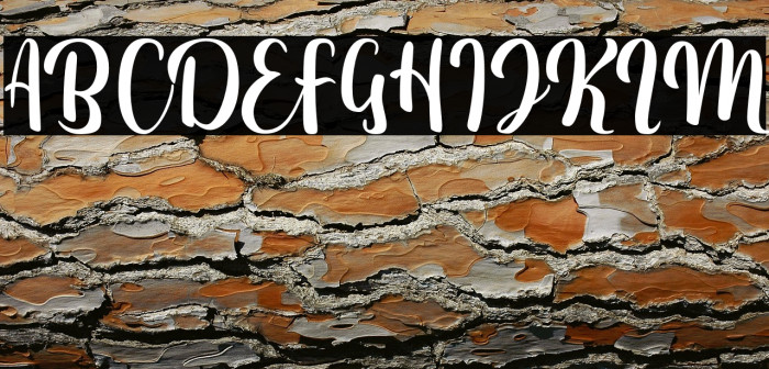 FitamintScript Example 3