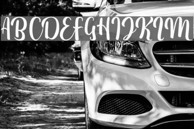 FitamintScript Font examples