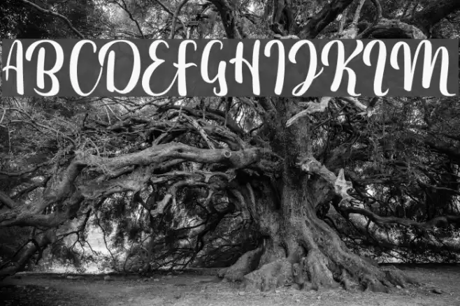 FitamintScript Font examples