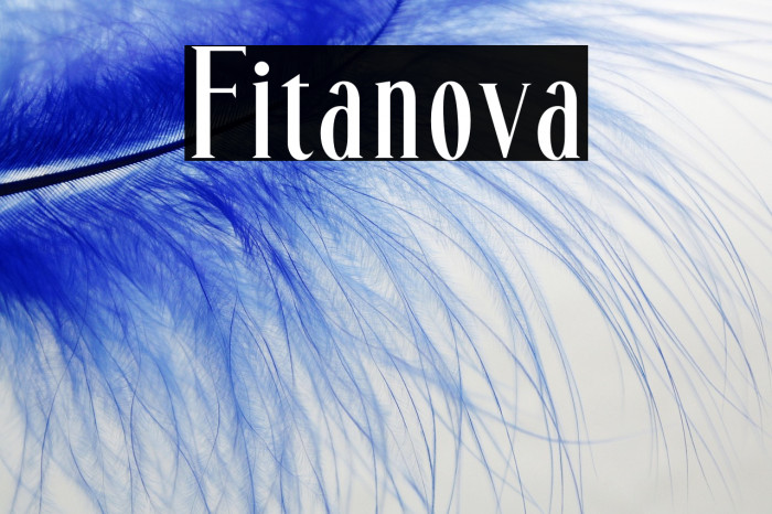 Fitanova Example 2