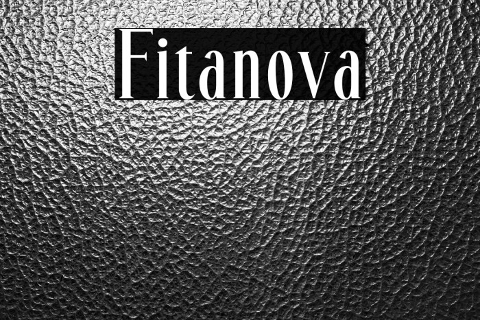 Fitanova Example 3
