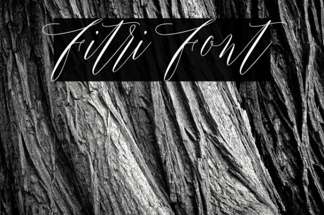 Fitri Example 2
