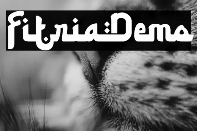 FitriaDemo Font examples