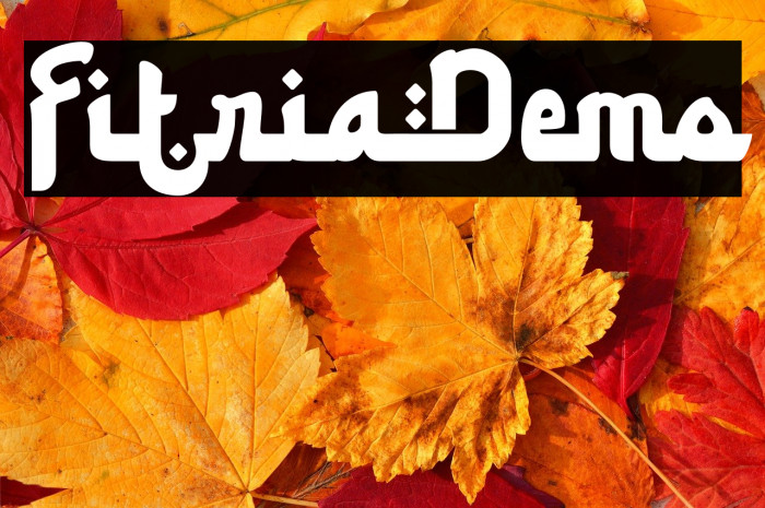 FitriaDemo Example 3