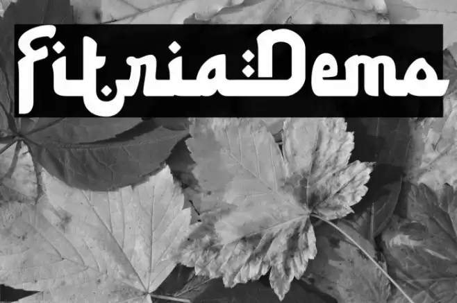 FitriaDemo Font examples