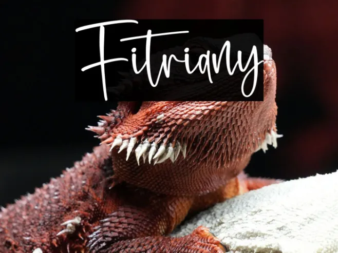 Fitriany Example 3