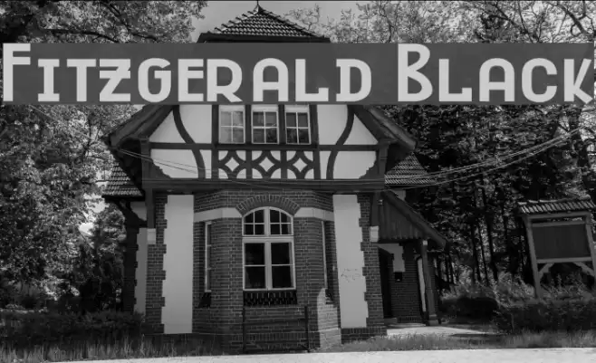 Fitzgerald Black Font examples