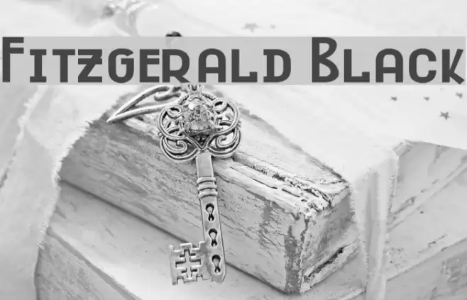 Fitzgerald Black Font examples