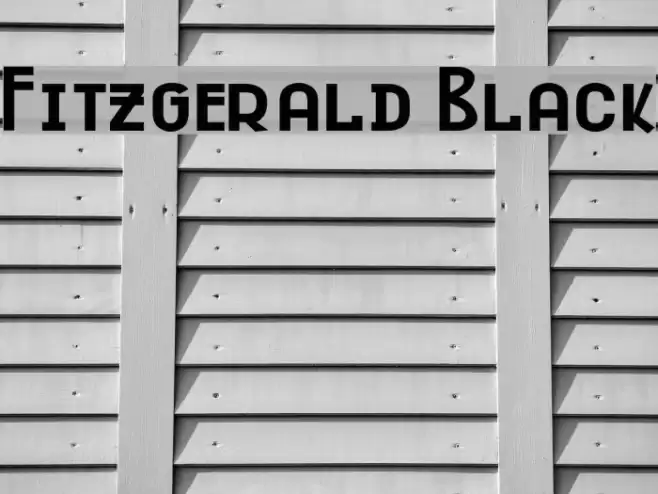Fitzgerald Black Font examples
