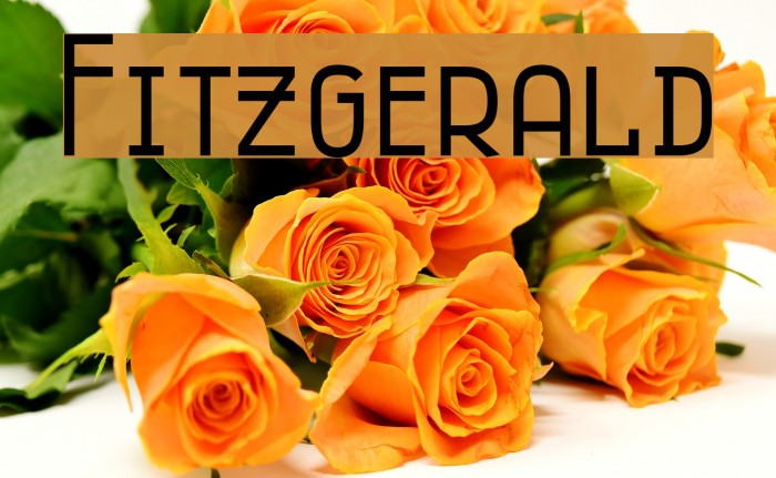 Fitzgerald Example 3