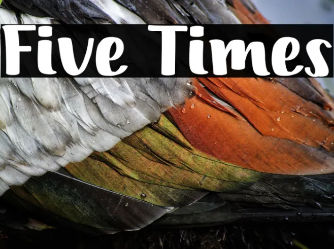 Five Times Example 1