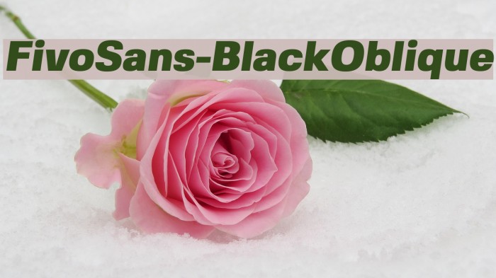 FivoSans-BlackOblique Font examples