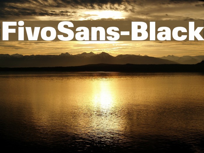 FivoSans-Black Font examples