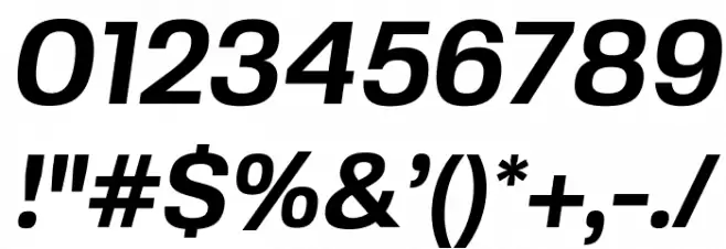 FivoSans-BoldOblique Font OTHER CHARS