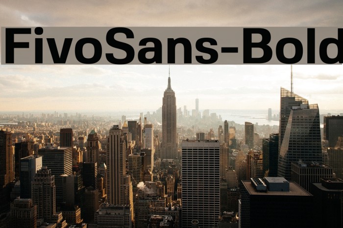 FivoSans-Bold Example 1