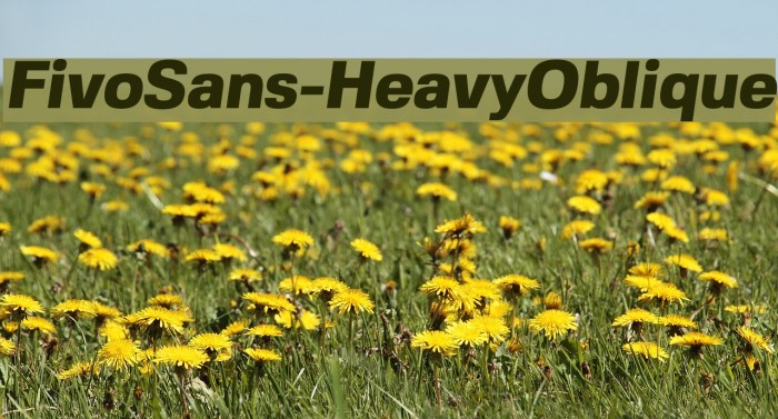 FivoSans-HeavyOblique Font examples