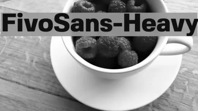 FivoSans-Heavy Font examples
