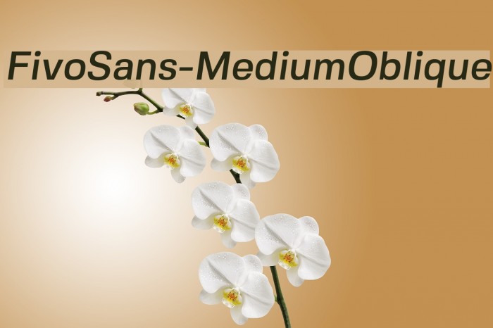 FivoSans-MediumOblique Font examples