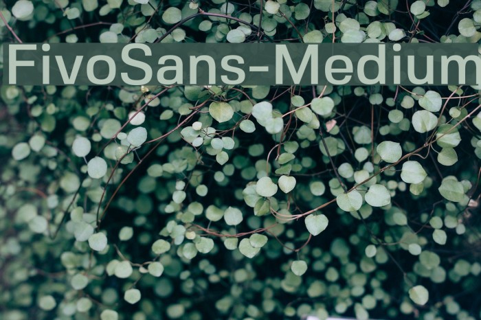 FivoSans-Medium Font examples