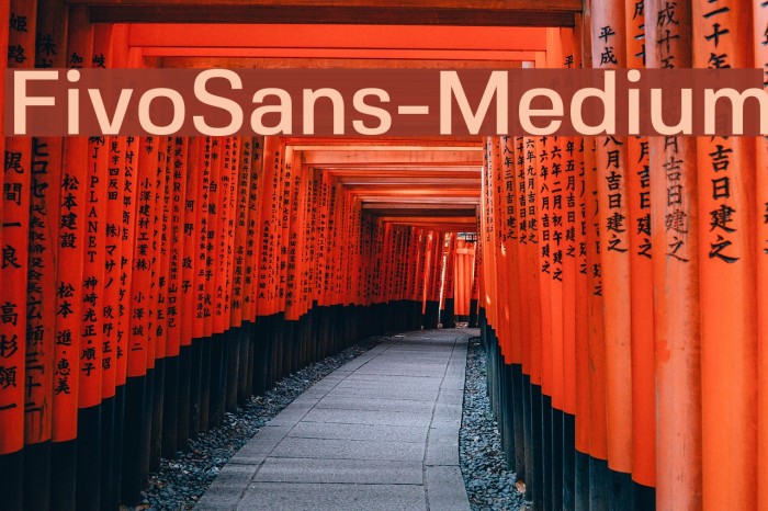 FivoSans-Medium Font examples