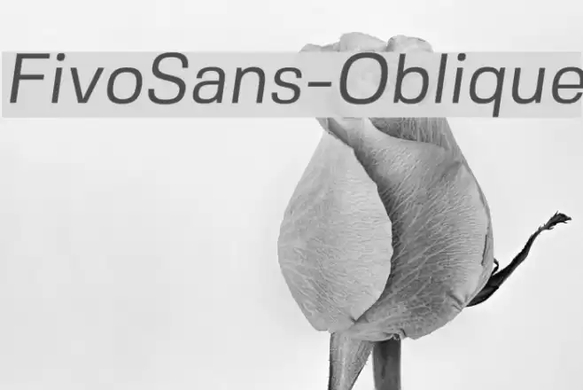 FivoSans-Oblique Font examples