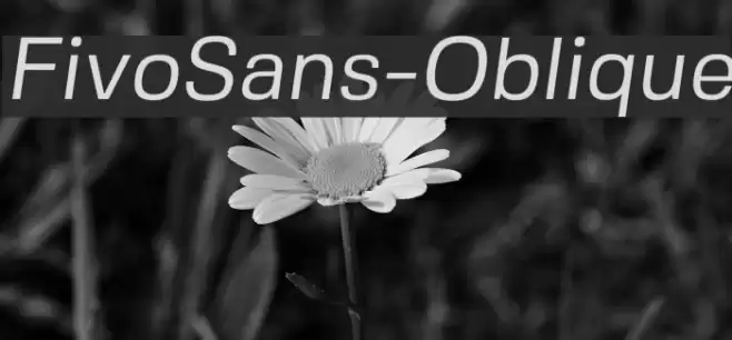 FivoSans-Oblique Font examples