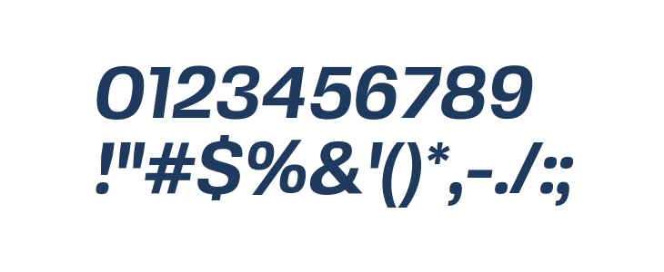 FivoSansModern-BoldOblique Other Characters