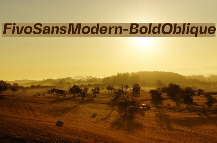 FivoSansModern-BoldOblique Example 2