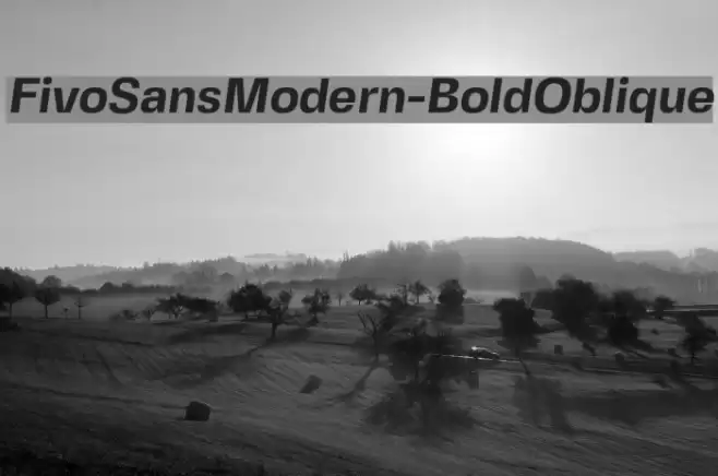 FivoSansModern-BoldOblique Font examples