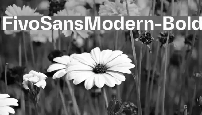 FivoSansModern-Bold Font examples