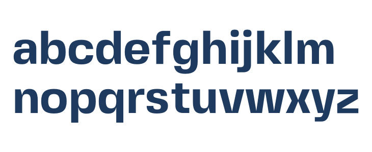 FivoSansModern-Bold Lowercase