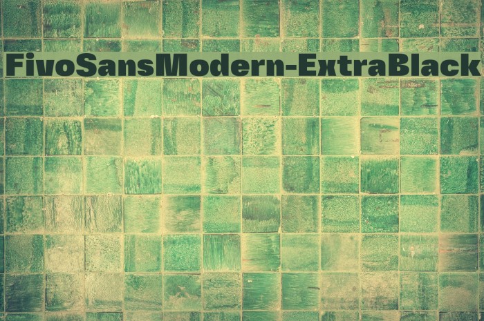 FivoSansModern-ExtraBlack Font examples
