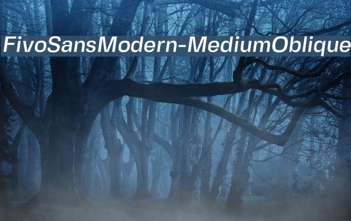 FivoSansModern-MediumOblique Font examples