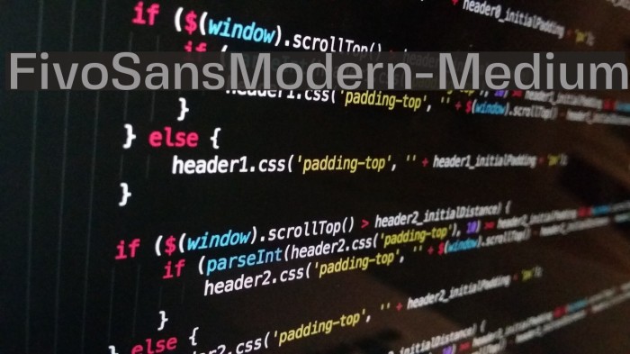 FivoSansModern-Medium Font examples