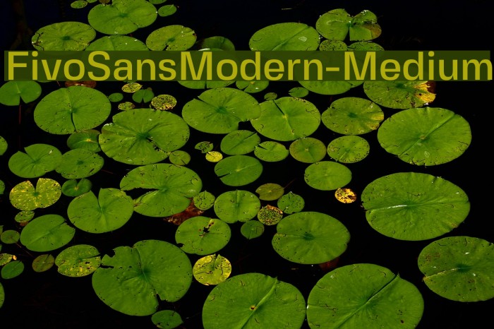FivoSansModern-Medium Font examples