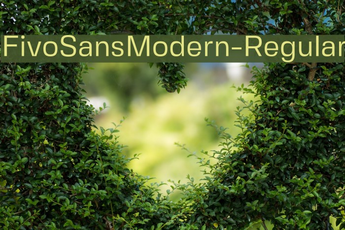 FivoSansModern-Regular Font examples