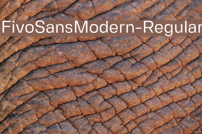 FivoSansModern-Regular Font examples